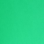 Фото картон едностр.оцв., 220 g/m2, 70 x 100 cm, 1л, ябълково зелен