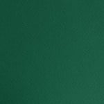 Фото картон едностр.оцв., 220 g/m2, 70 x 100 cm, 1л, елхово зелен