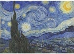 Пъзел художествен WENTWORTH, The Starry Night, 40 части