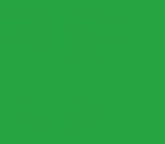 Постерна боя на водна основа PASS COLOR, 20 ml, Light Green