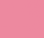 Постерна боя на водна основа PASS COLOR, 20 ml, Brilliant Pink