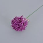 Allium Globemaster, ф 7 x 53 cm, розов