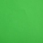 Цветен картон, 130 g/m2, 50 x 70 cm, 1л, листно зелен