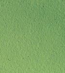 Decoupaint Antik, 50 ml, боя с ефектна структура, папрат