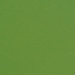 Фото картон гладък/мат, 300 g/m2, 50 x 70 cm, 1л, блатно зелен