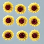 Копчета, слънчоглед, 19 x 19 mm, 9бр.жълто/кафяво