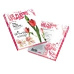 Креативен комплект Les fleurs en papier «Royal Rose»