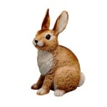 Креативен комплект Sculptor «Rabbit»