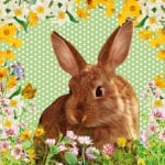 Салфетка PPD, 33 x 33 cm, пак.20 бр.