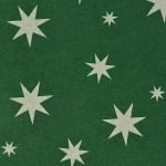 Варио картон, 300 g/m2, 50 x 70 cm, 1л, зелен със сребърни звезди
