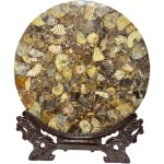 Полирани Амонити Cleoniceras Cleon Голям Защитен Диск