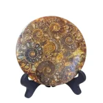 Диск Поднос от Полирани Мадагаскарски Амонити Cleoniceras Cleon