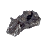 Железен Метеорит Сихоте-Алин  II B