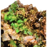 Пироморфит, Лимонит, Mn-Оксиди