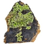 Пироморфит, Лимонит, Mn-Оксиди