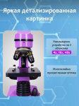 Микроскоп Levenhuk Rainbow 2L