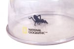 Кутия за насекоми Bresser National Geographic 5x XXL