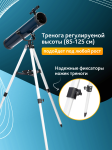 Телескоп Levenhuk Discovery Sky T76 с книга