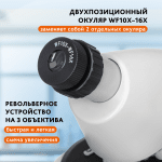 Микроскоп Levenhuk Discovery Micro с книга
