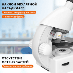 Микроскоп Levenhuk Discovery Micro с книга