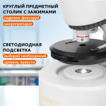 Микроскоп Levenhuk Discovery Micro с книга