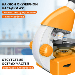 Микроскоп Levenhuk Discovery Micro с книга