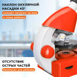 Микроскоп Levenhuk Discovery Micro с книга