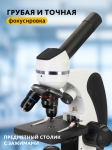 Микроскоп Levenhuk Discovery Pico