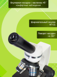 Микроскоп Levenhuk Discovery Femto Polar с книга