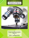 Микроскоп Levenhuk Discovery Femto Polar с книга