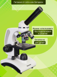 Микроскоп Levenhuk Discovery Femto Polar с книга