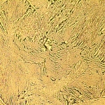 Металургичен цифров микроскоп MAGUS Metal D600 LCD