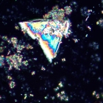 Поляризационен цифров микроскоп MAGUS Pol D850