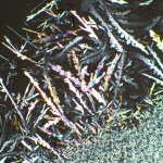 Комплект поляризатор/анализатор MAGUS SPD2