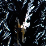 Комплект поляризатор/анализатор MAGUS SPD2