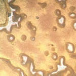 Металургичен инвертиран микроскоп MAGUS Metal V790 DIC