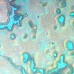 Металургичен инвертиран микроскоп MAGUS Metal V790 DIC