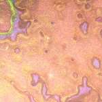 Металургичен инвертиран микроскоп MAGUS Metal V790 DIC