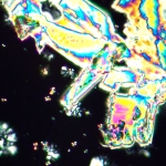 Поляризационен микроскоп MAGUS Pol 890