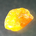 Стереомикроскоп MAGUS Stereo A8