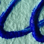 Стереомикроскоп MAGUS Stereo A10