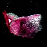 Стереомикроскоп MAGUS Stereo A18T