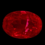 Кондензер за тъмно поле за стереомикроскопи MAGUS DFC1