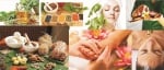 Здравословни съвети на Аюрведа за балансиране на стомашните киселини, теглото, холестерола и простатата
