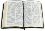 Библия (малък формат, тъмно зелена)