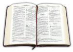 Библия (малък формат, бордо)