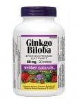 ГИНКО БИЛОБА - подобрява паметта - таблетки 60 мг. х 90,WABBER NATURALS