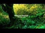 Nature Sound 4