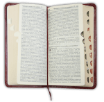 БИБЛИЯ ДЖОБЕН ФОРМАТ - ревизирано издание, позлатени страници, бордо