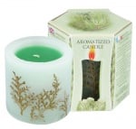 СВЕЩ БОР С АПЛИКАЦИЯ - КУТИЯ - ZORNITZA COMPANY